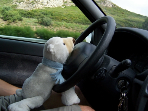 Notre chauffeur!