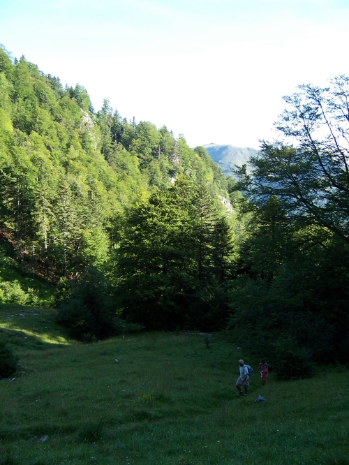 ça monte!