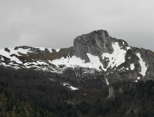 Aran au dbut du printemps